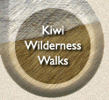 wilderness walks