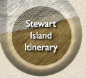 Stewart Island itinerary