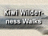 Kiwi Wilderness walk
