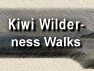Kiwi Wilderness walk