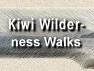 Kiwi Wilderness Walks. Stewart Island and Waitutu Track